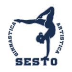 Ginnastica Artistica Sesto Per Web Ginnastica Artistica Sesto Per Web
